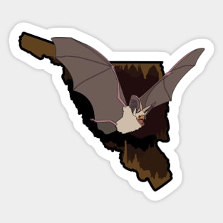 Pallid Bat Sticker